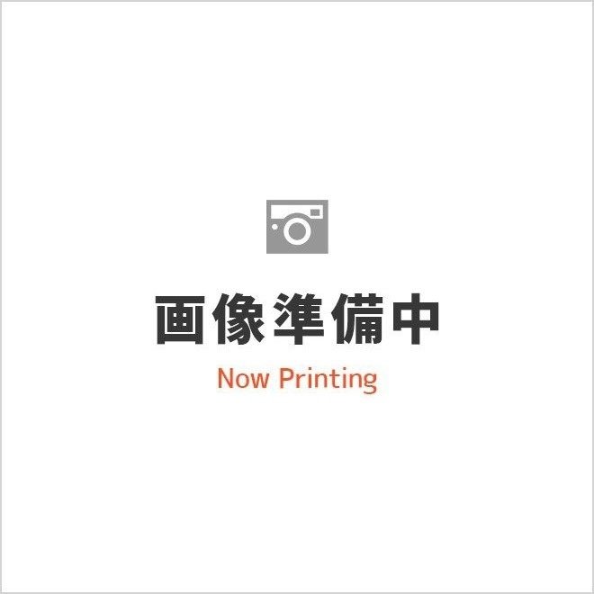 JOJO的奇妙冒險 黃金之風 肖像造型系列卡(1 盒 / 10 包)